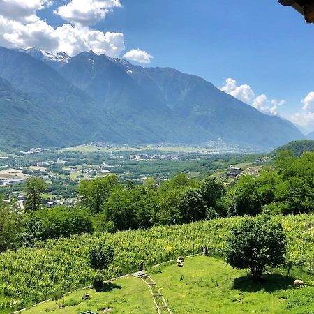 Agriturismo Cavria Castione Andevenno Экстерьер фото