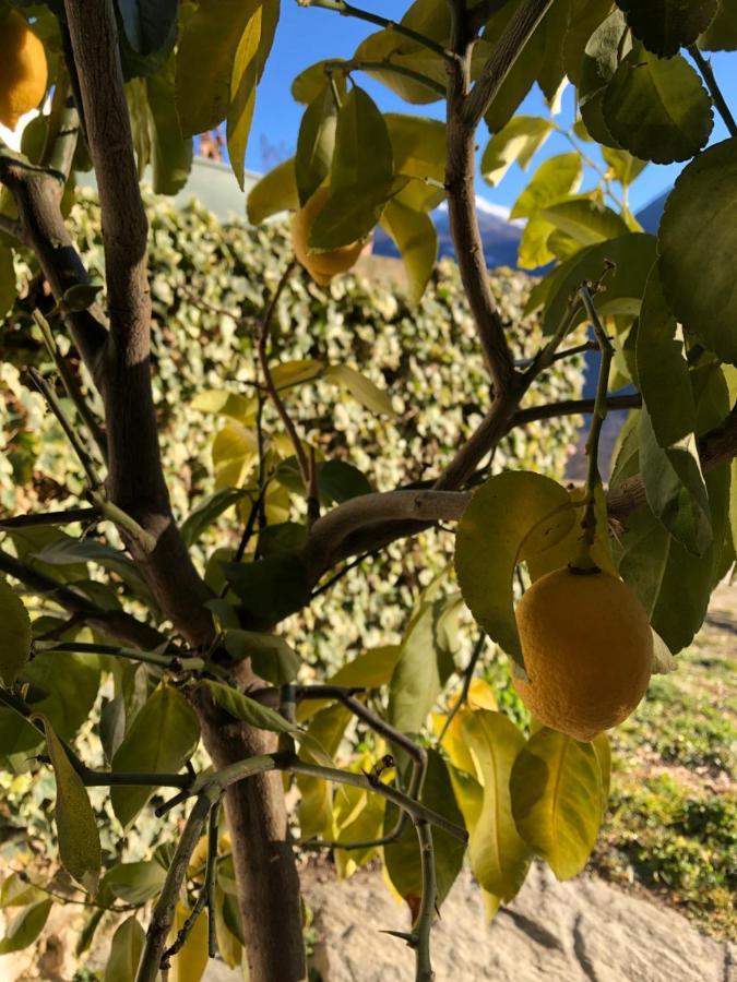 Agriturismo Cavria Castione Andevenno Экстерьер фото
