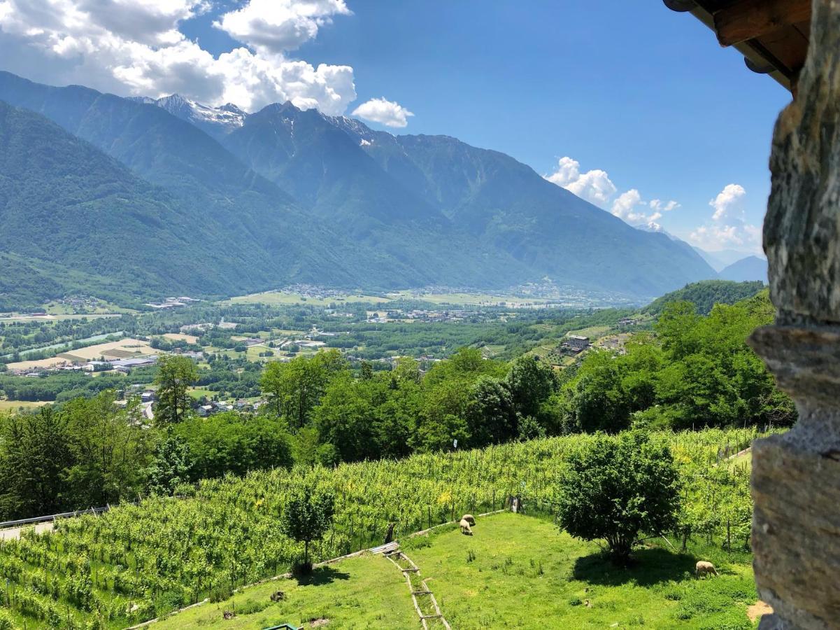 Agriturismo Cavria Castione Andevenno Экстерьер фото